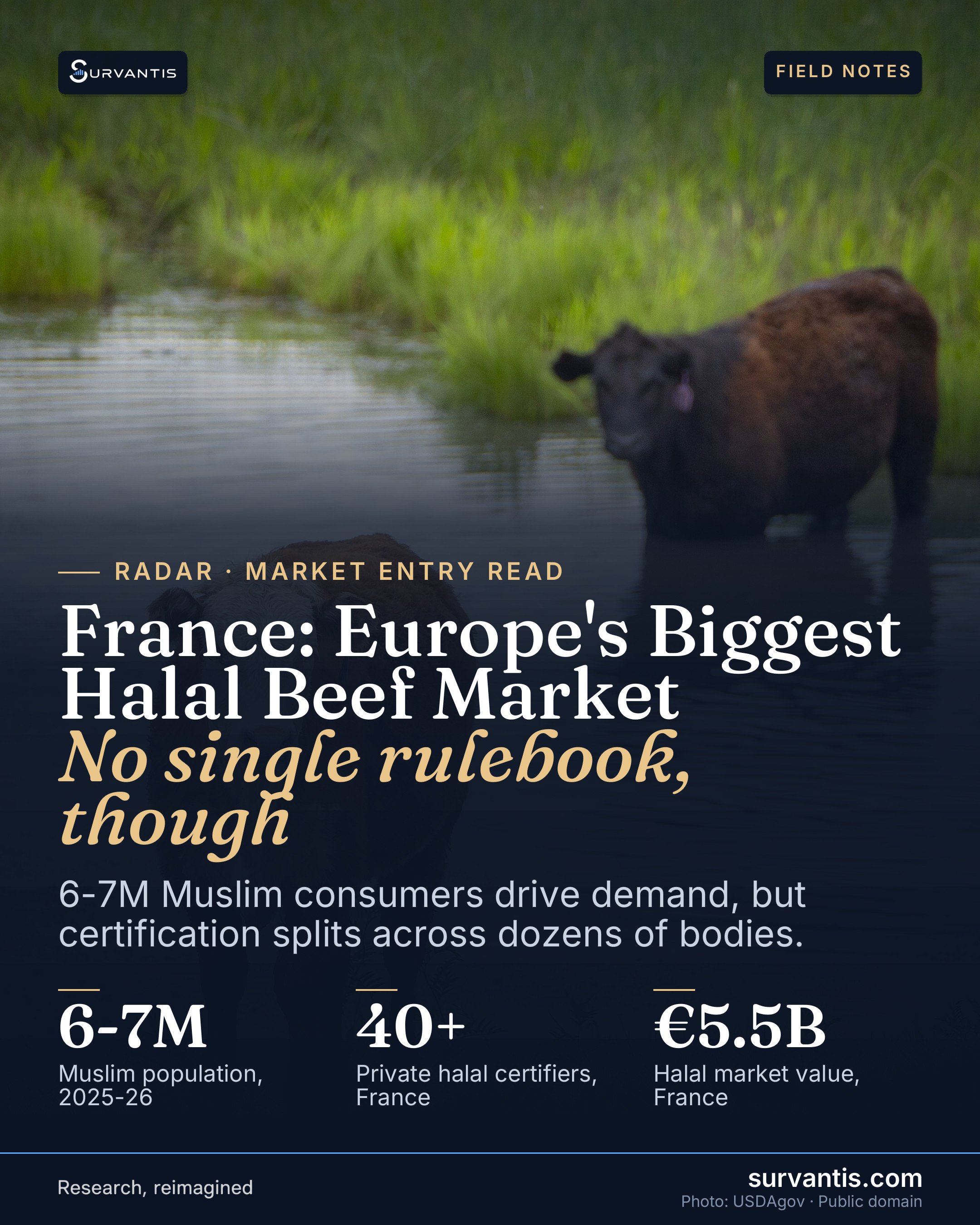 France is the largest halal consumer market in Western Europe. It also has no single body that certifies what counts as halal beef.