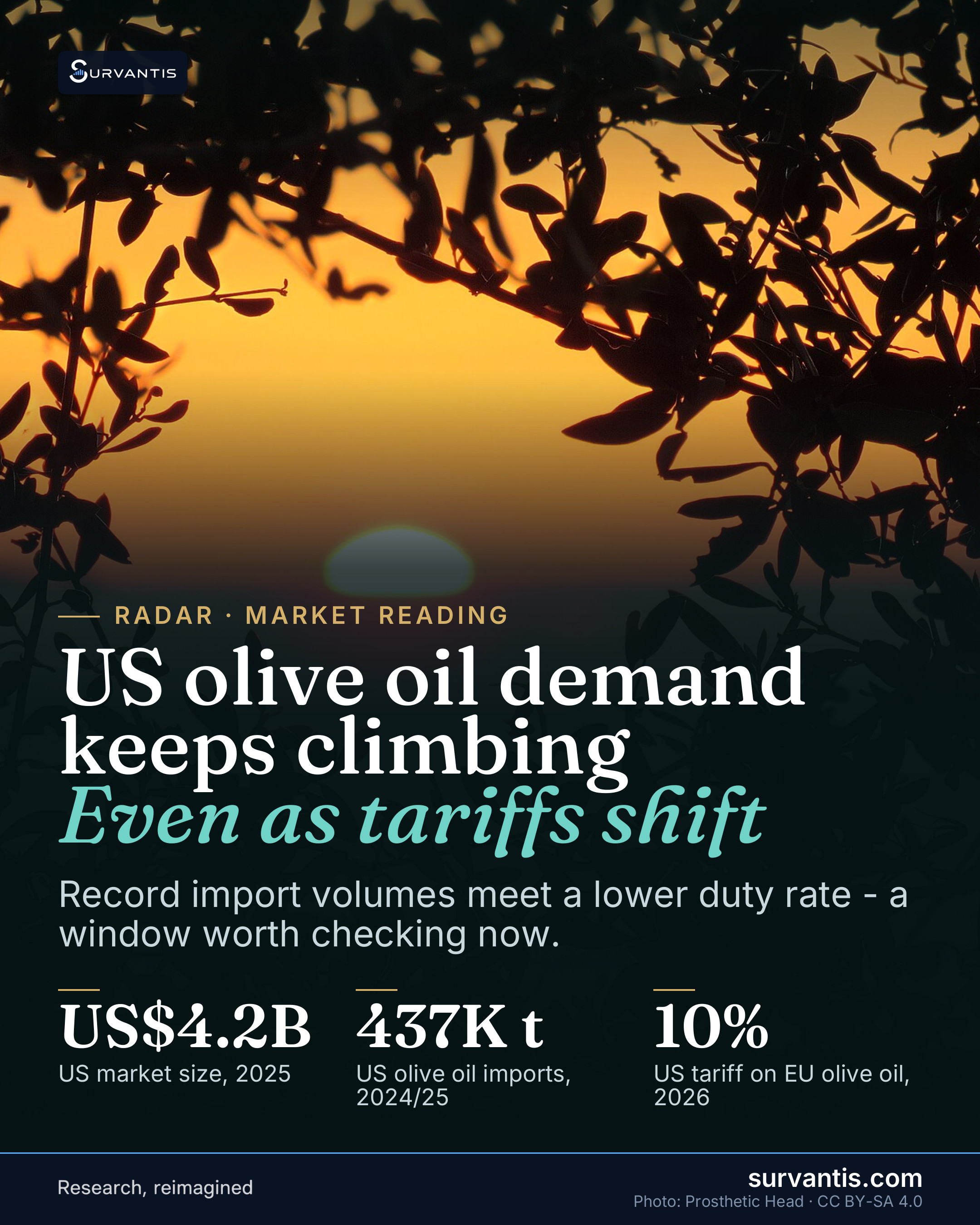 US olive oil imports hit 437,000 metric tons in 2024/25, and the market just got a tariff reset.